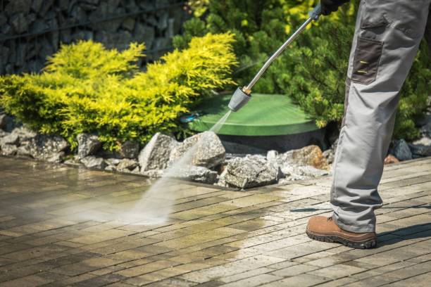 Best Solar Panel Cleaning  in Round Lake, IL