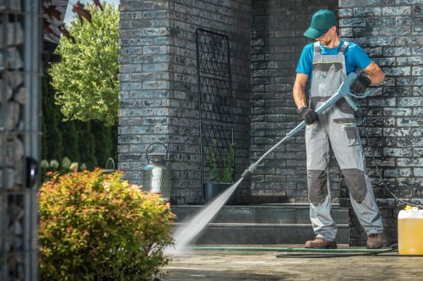 Pre-Holiday Cleaning in Round Lake, IL